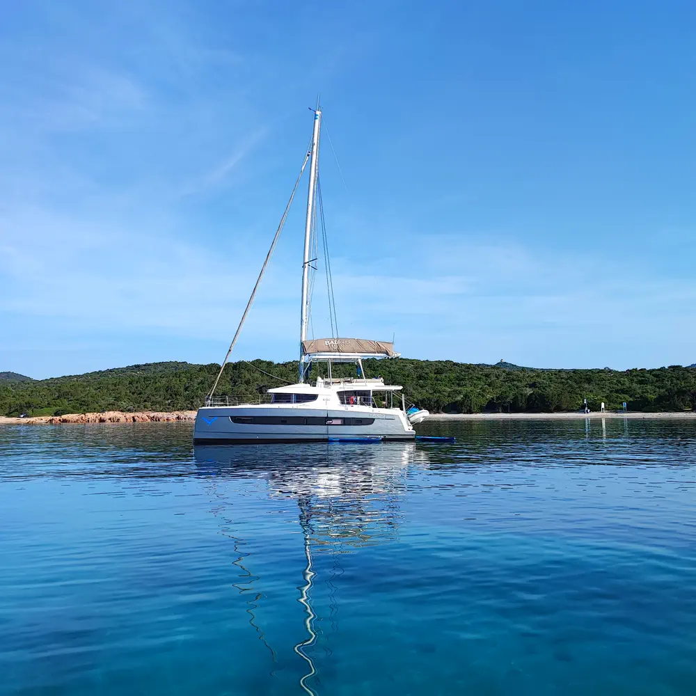 Delphinus 13