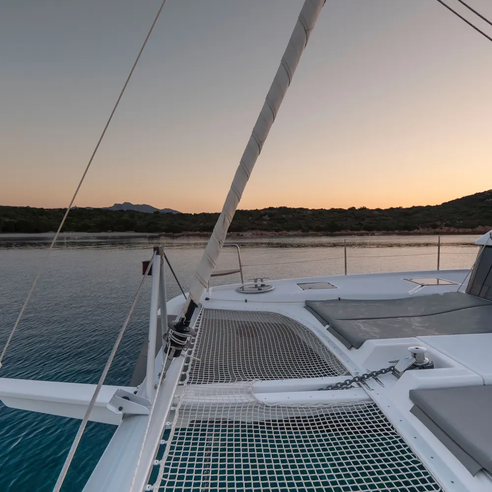 Delphinus 15