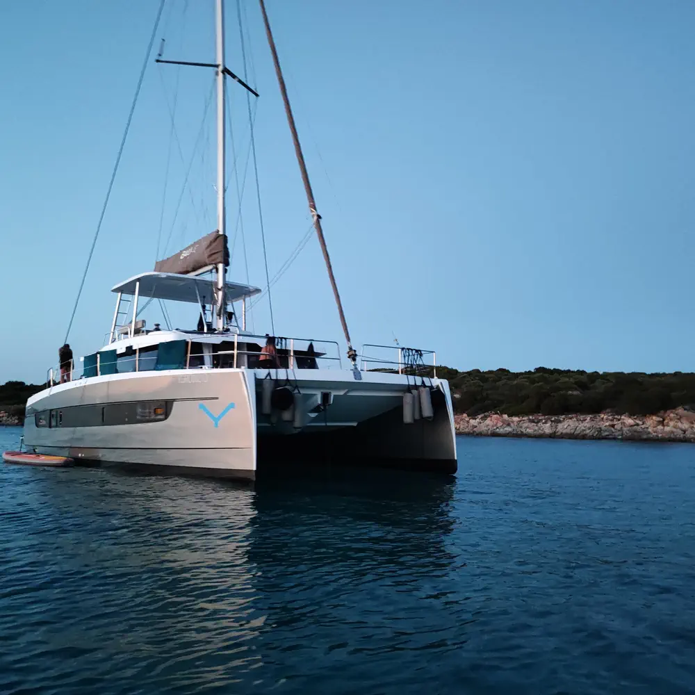 Delphinus 12