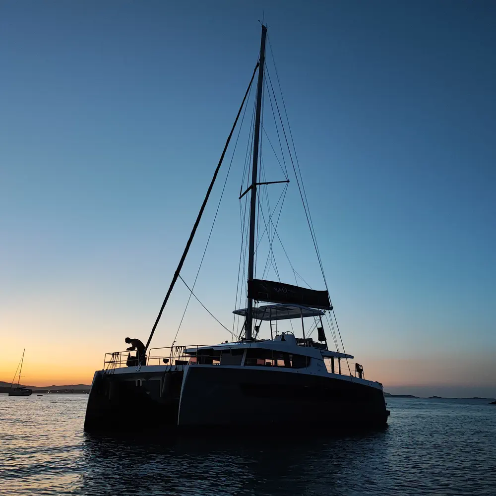 Delphinus 18
