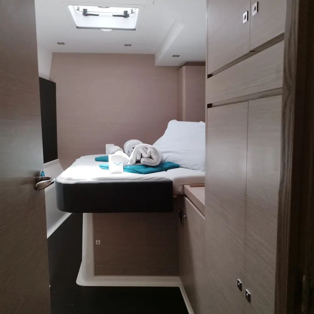 Delphinus 19