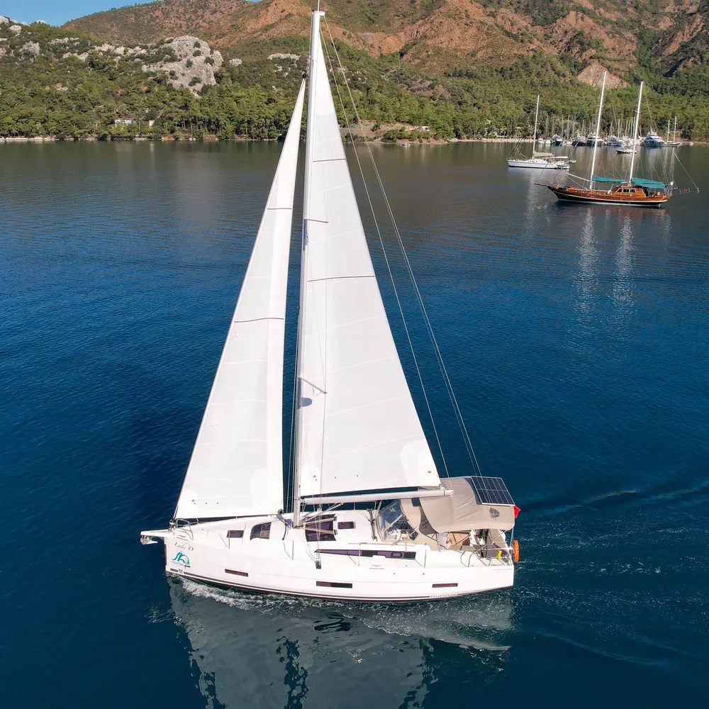 Lady D 41