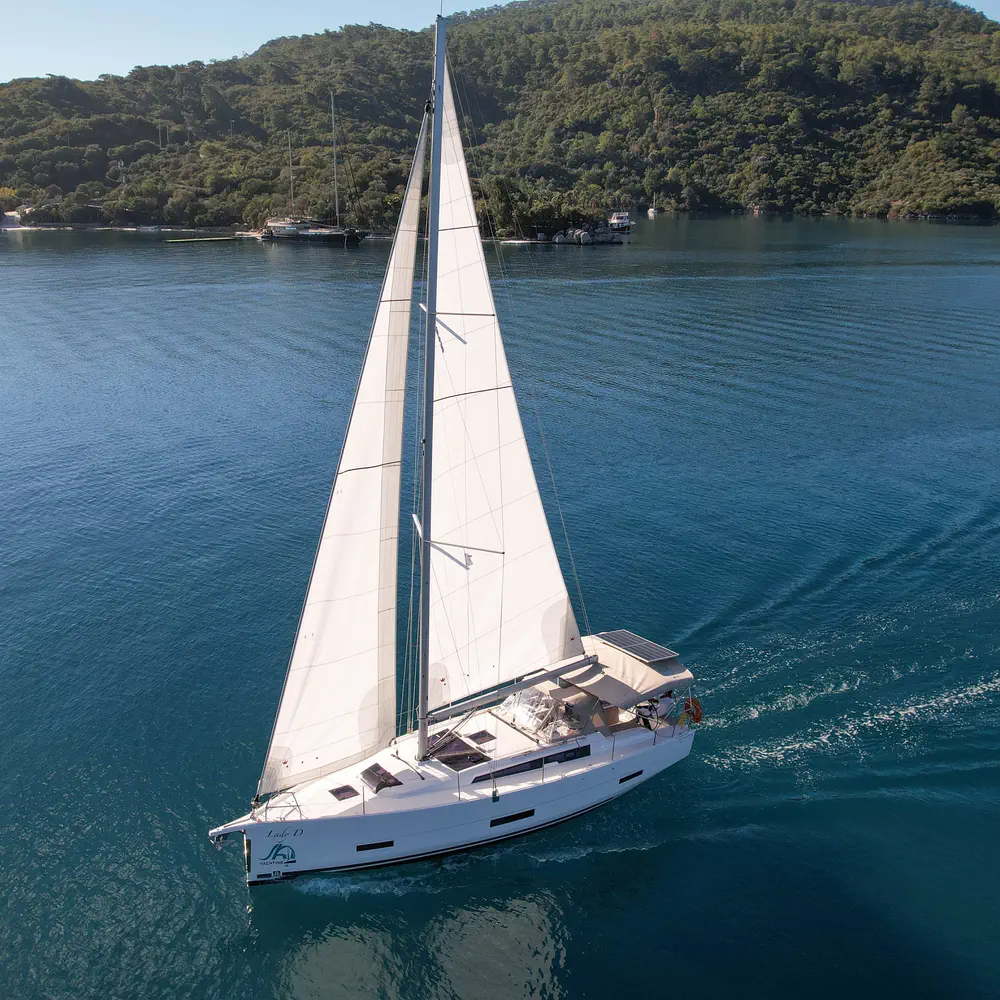 Lady D 54