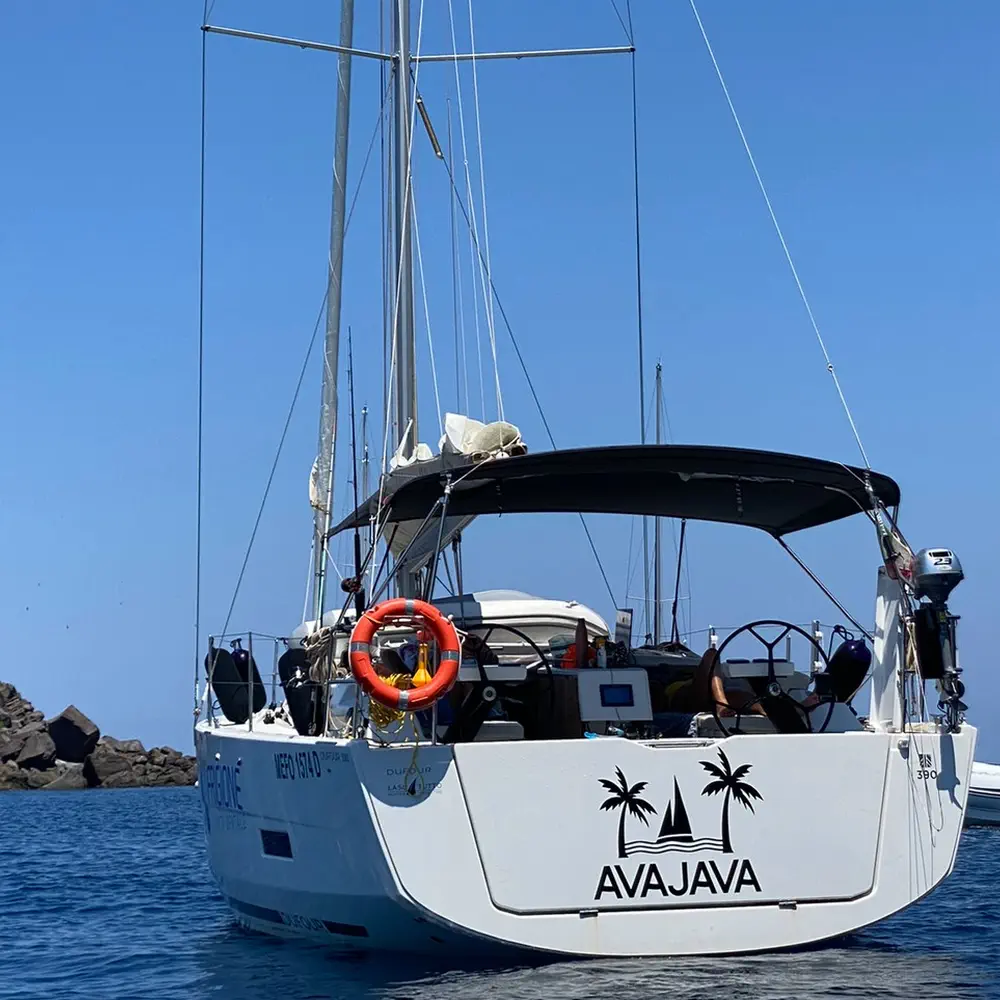 Avajava 8