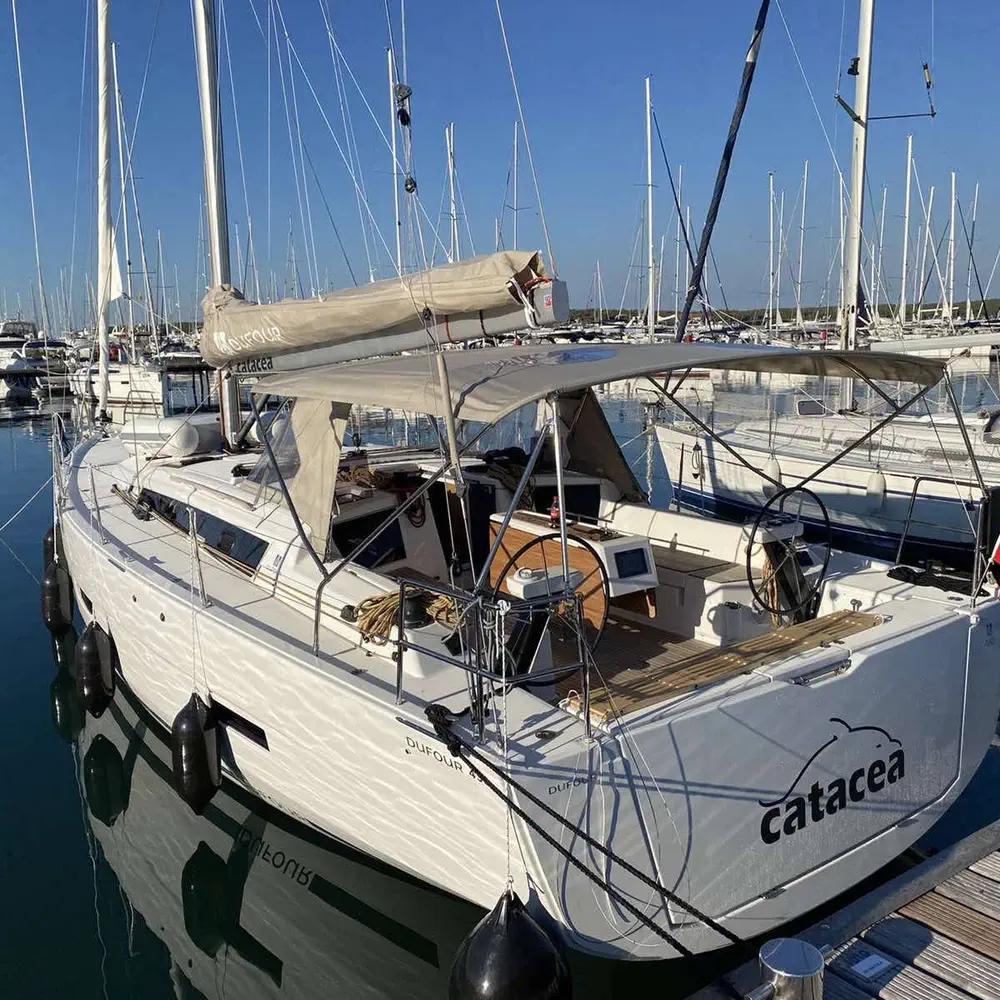 Catacea 6