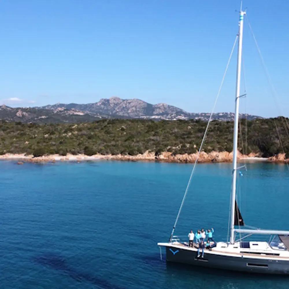 Gringott 49