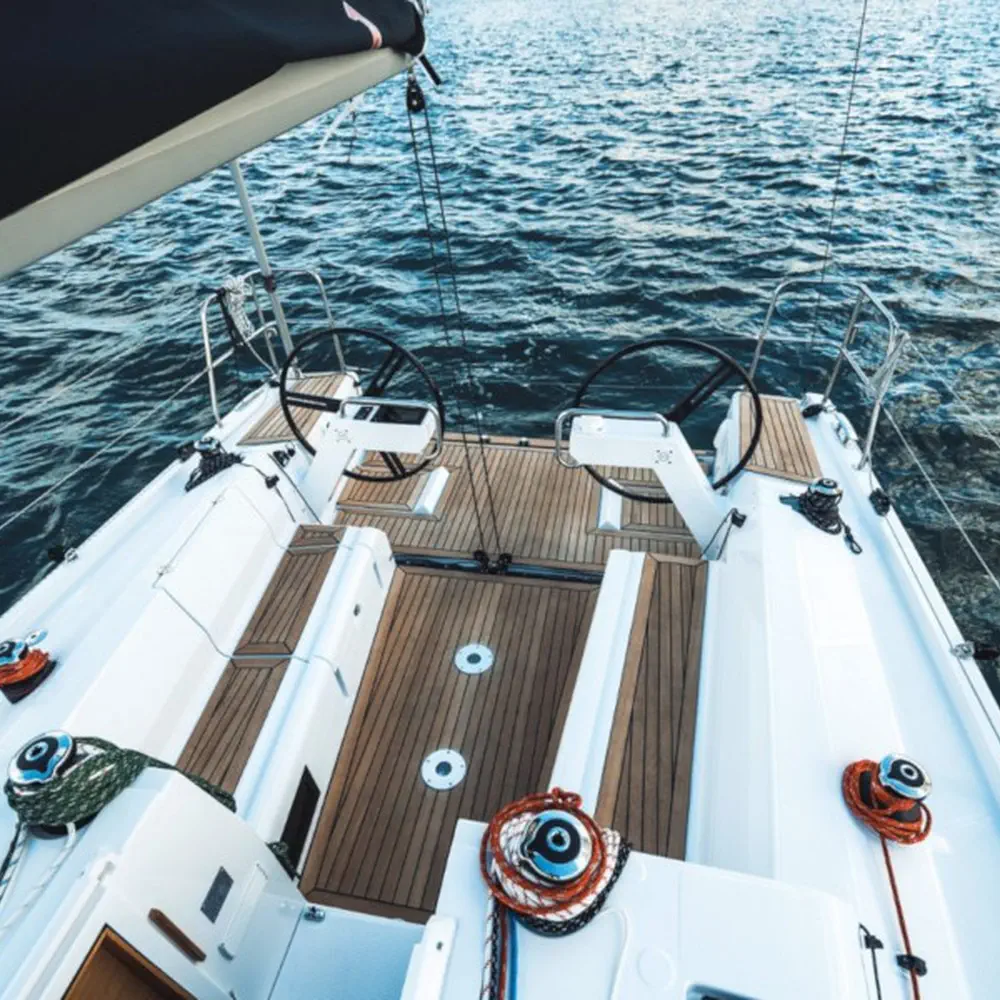 Dolphin 9