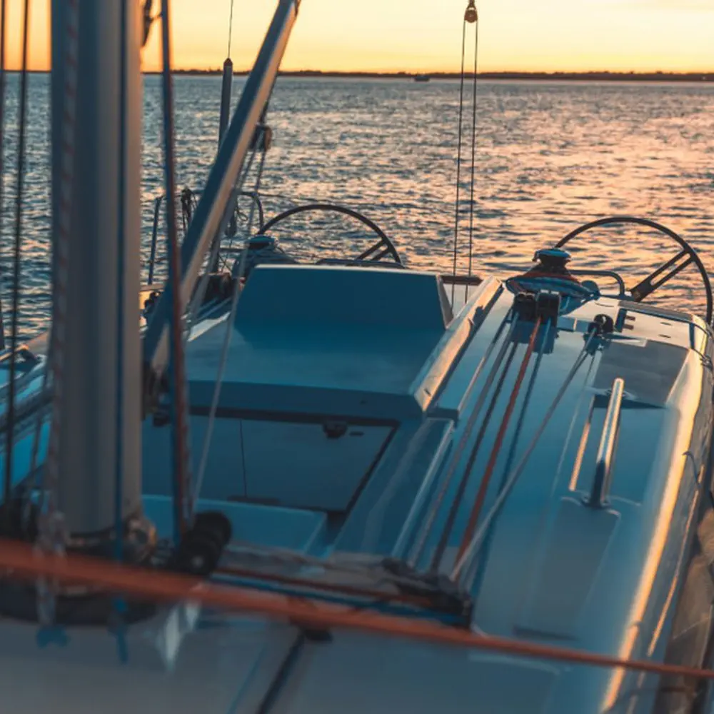 Dolphin 14