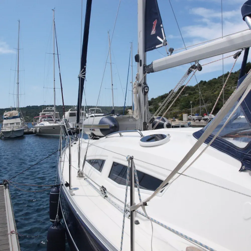 Sea Bird 8
