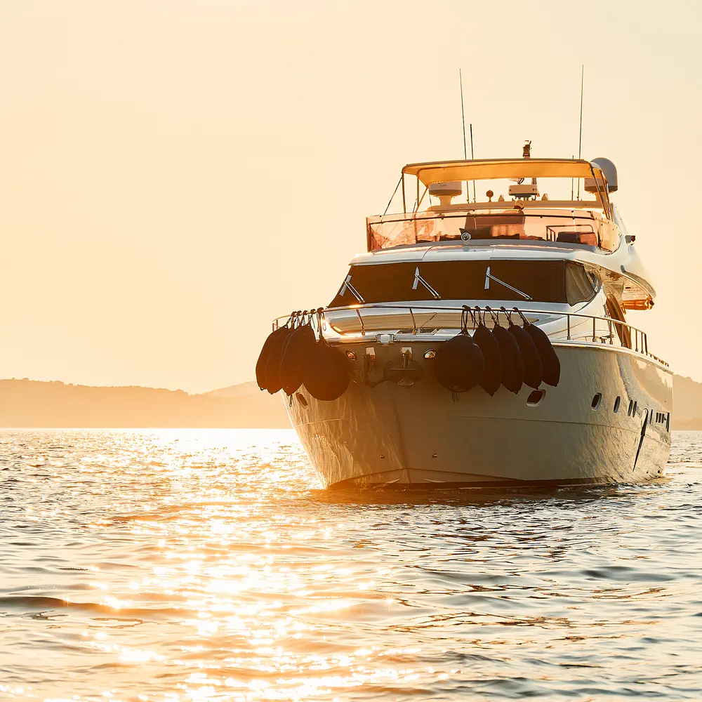 Stella d'Oro 13