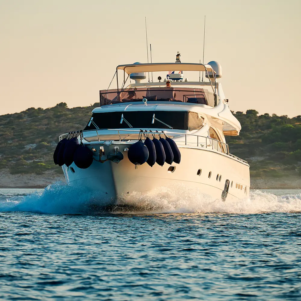 Stella d'Oro 31