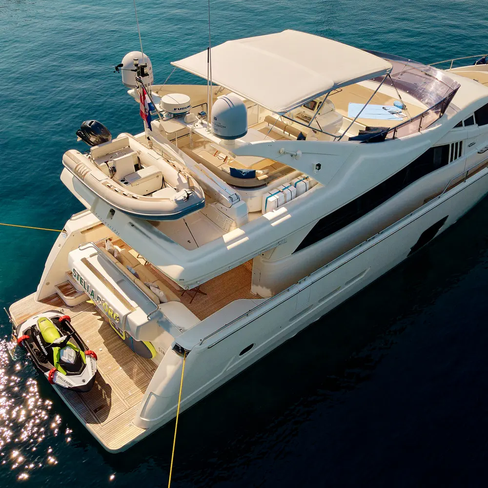 Stella d'Oro 41