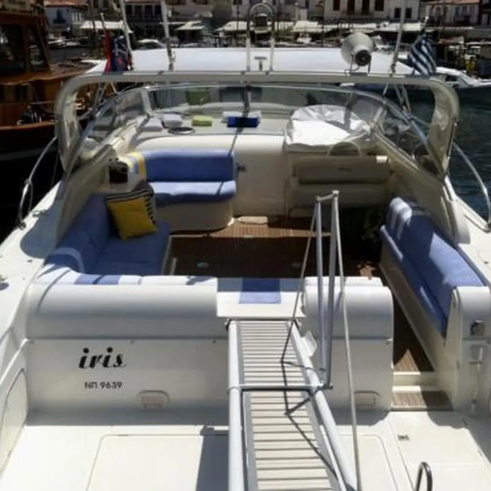Iris 1