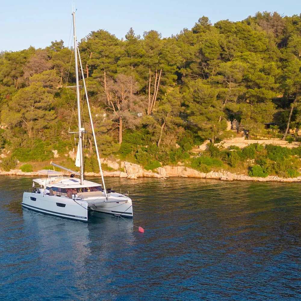 Calypso 1