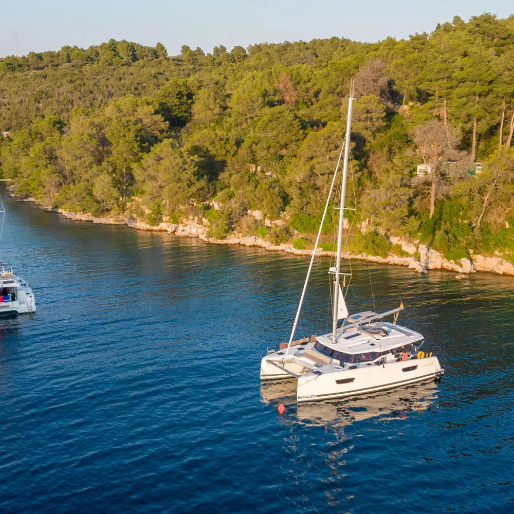 Calypso 19