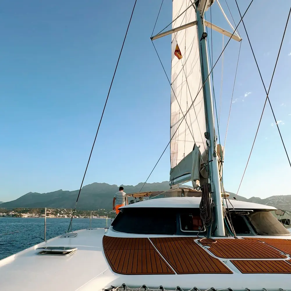 Alion 26