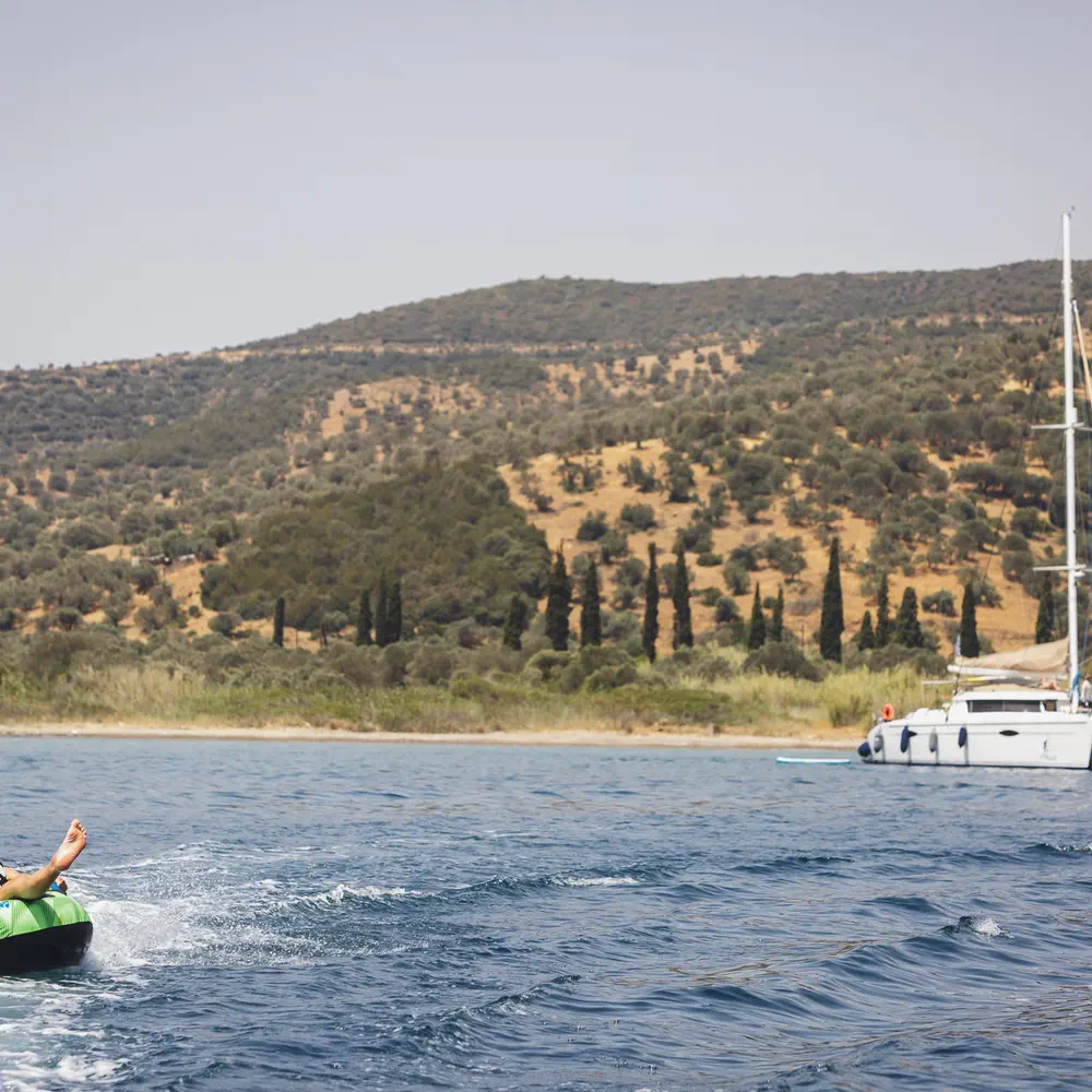 ZORBA CAT 15