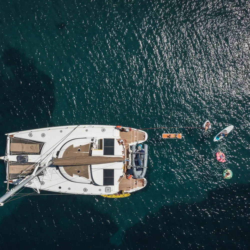 ZORBA CAT 26