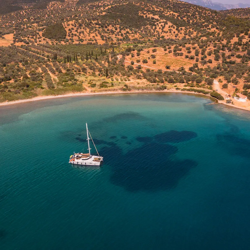 Zorba CAT Cabin 2 40