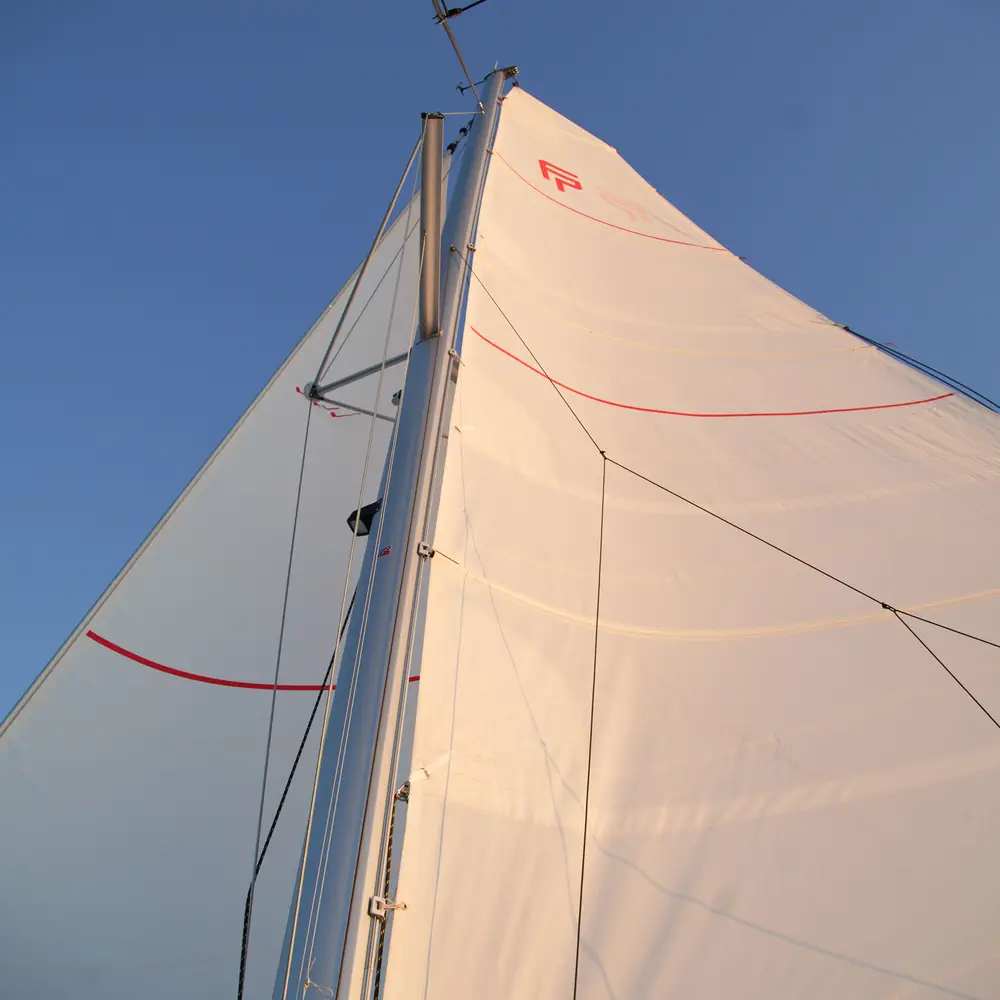 Anasa 35