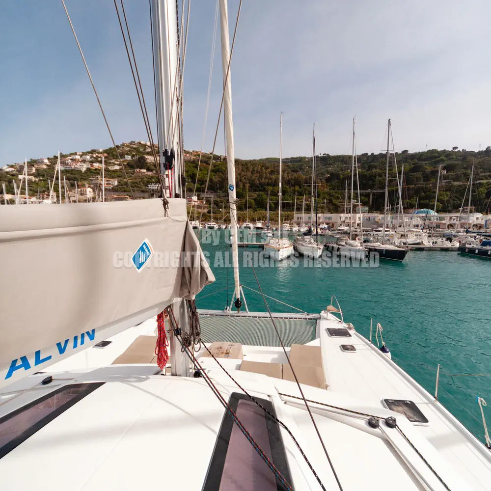 ALVIN 71