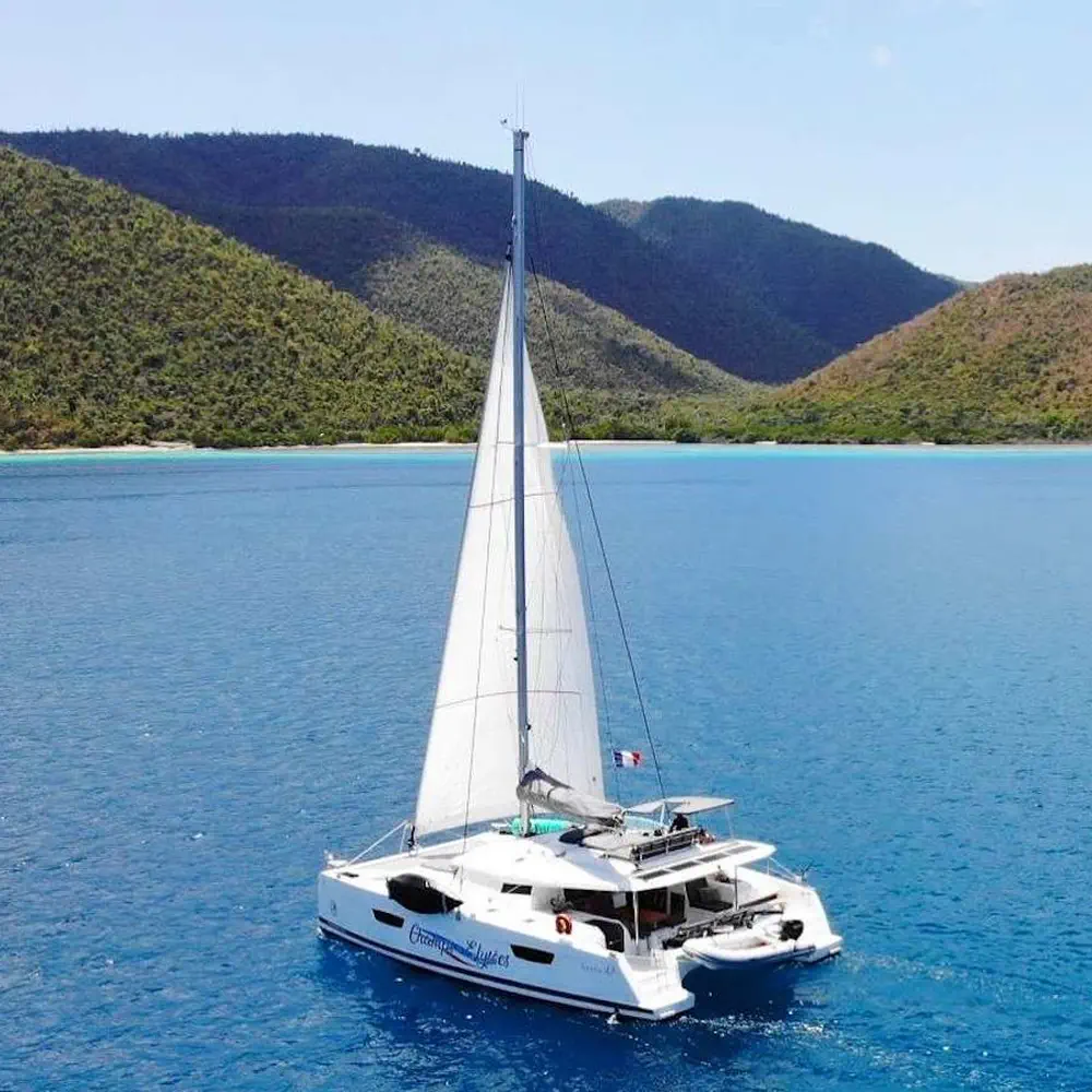 Main image of catamaran, Saona 47 Champs-Elysees
