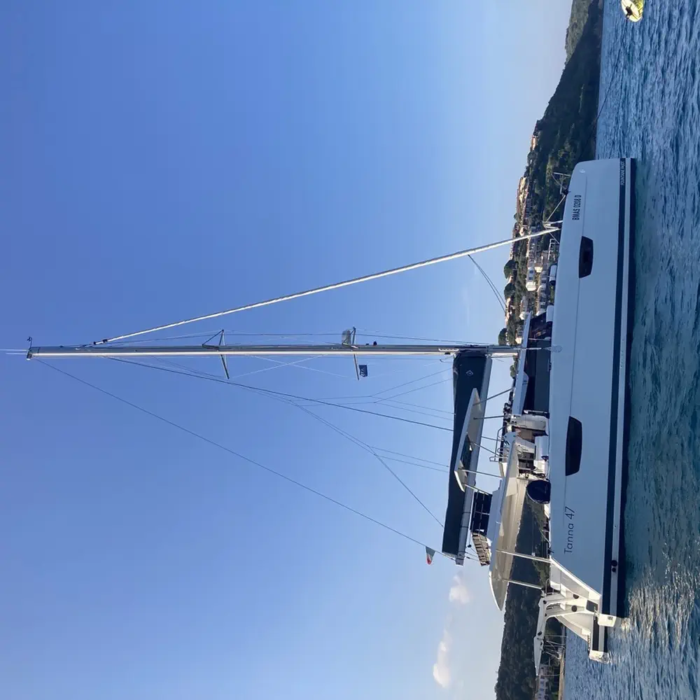 Blue Mandarin 13