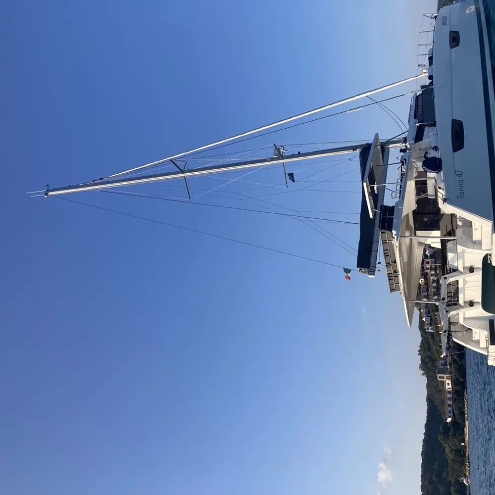 Blue Mandarin 21