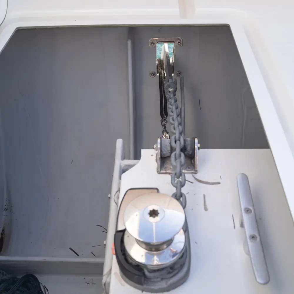 Blue Mandarin 25