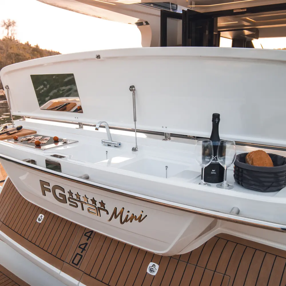 FGstar Mini 22