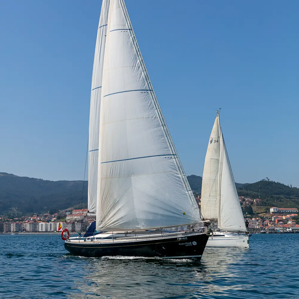 Nemo 11