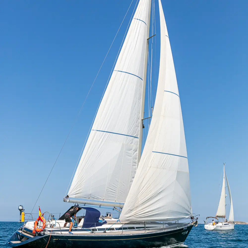 Nemo 17