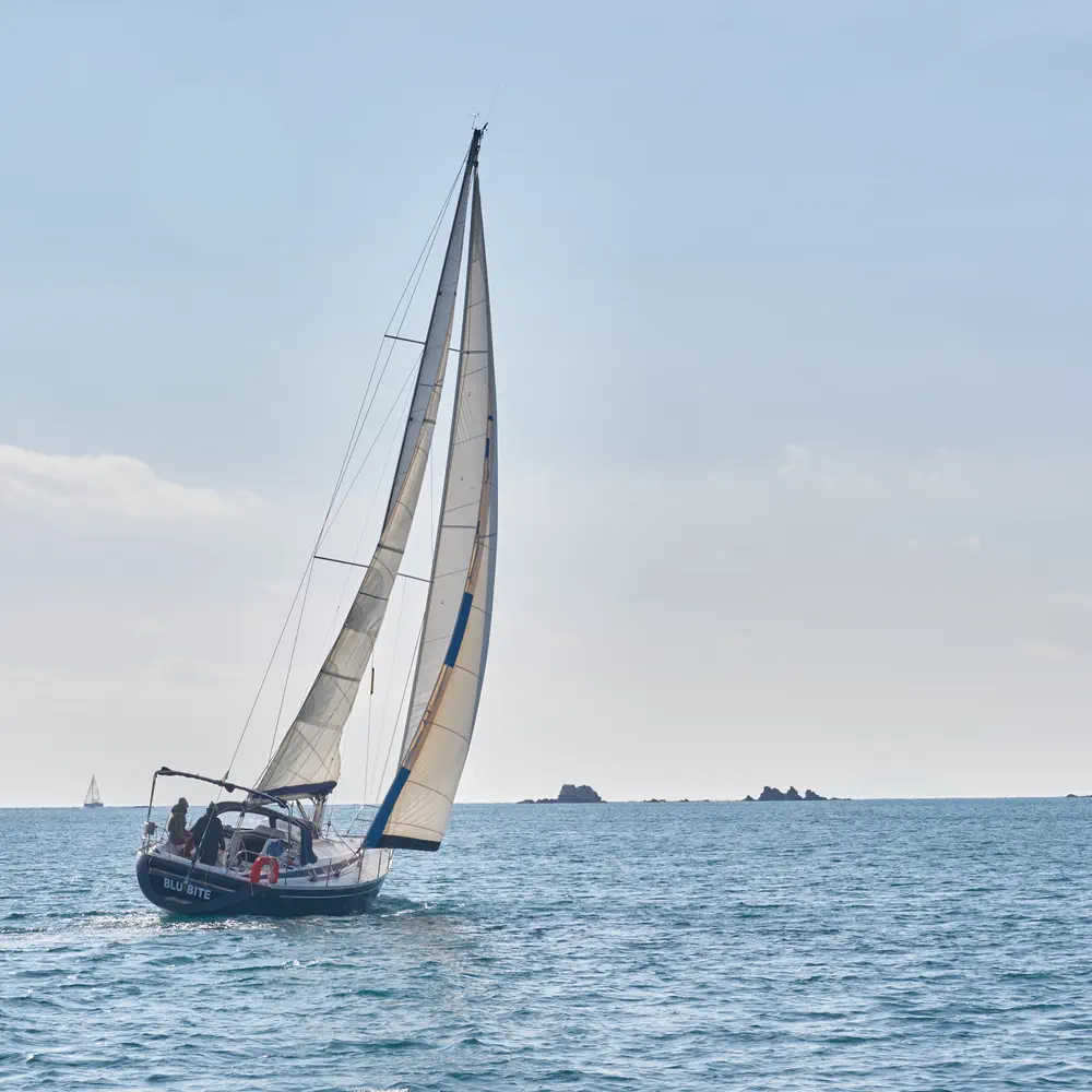 Blu Bite 12