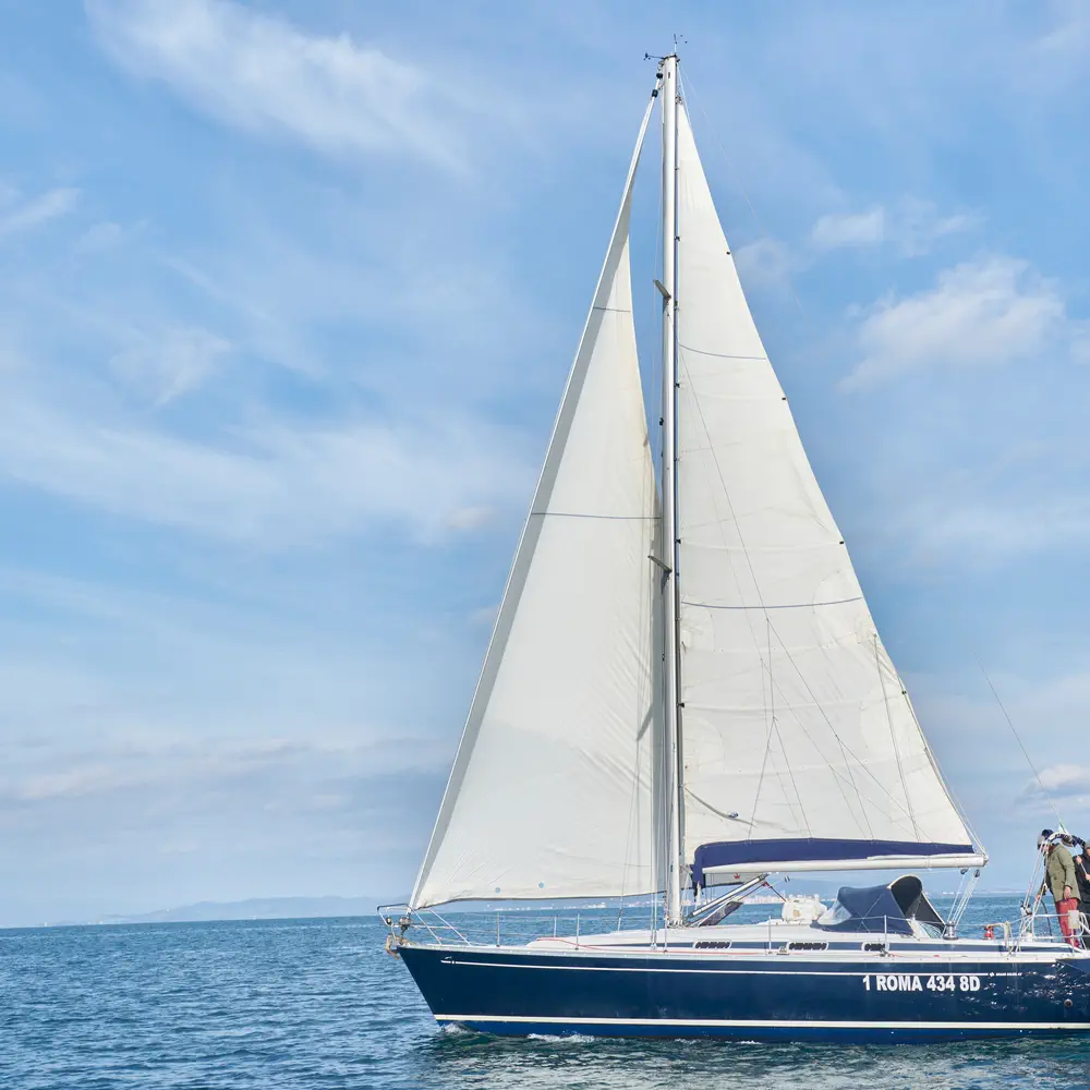 Blu Bite 15