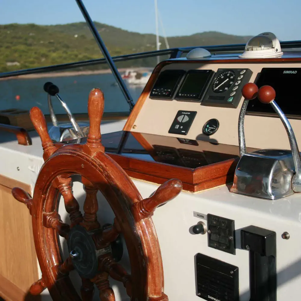SEA LION 18