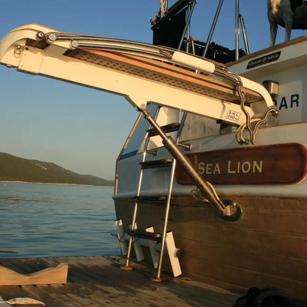 SEA LION 20