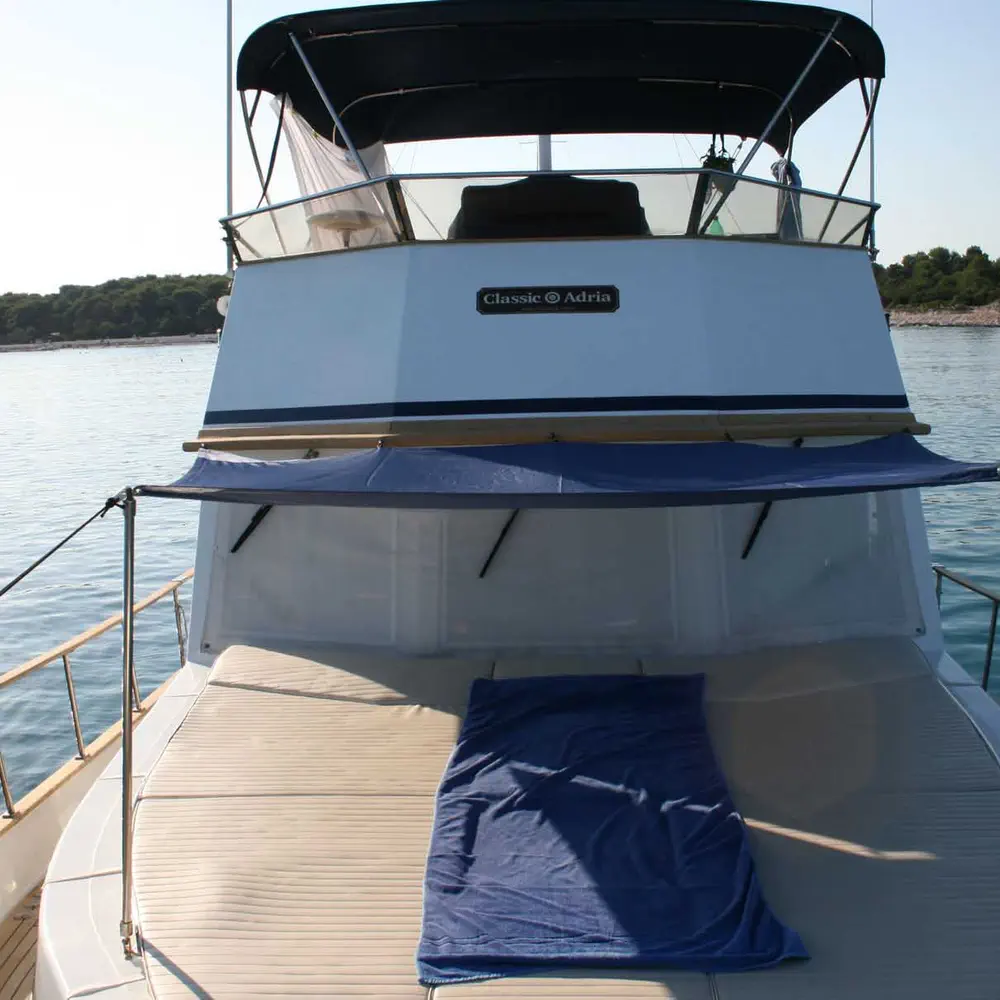 SEA LION 23