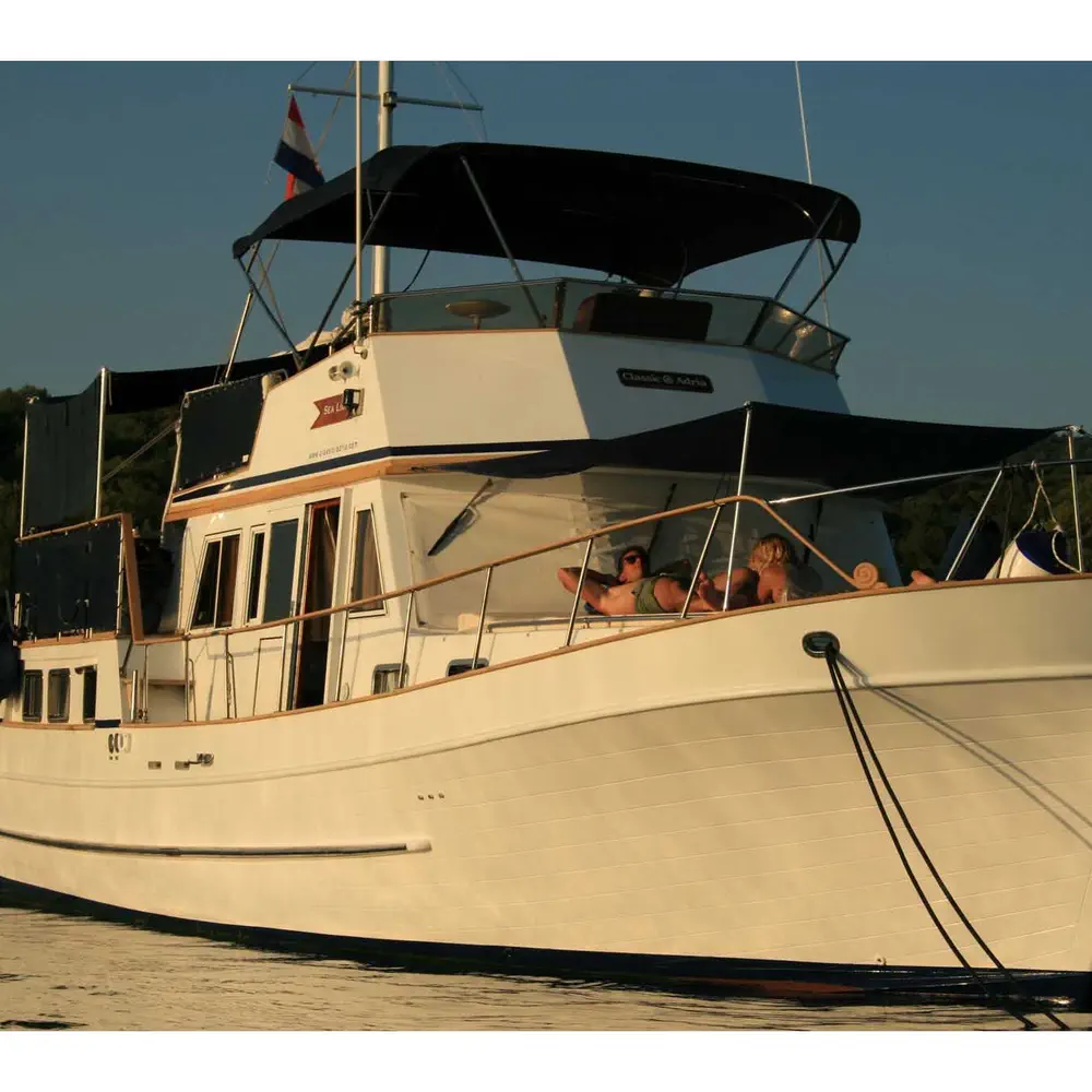SEA LION 16
