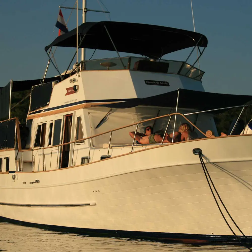 SEA LION 25