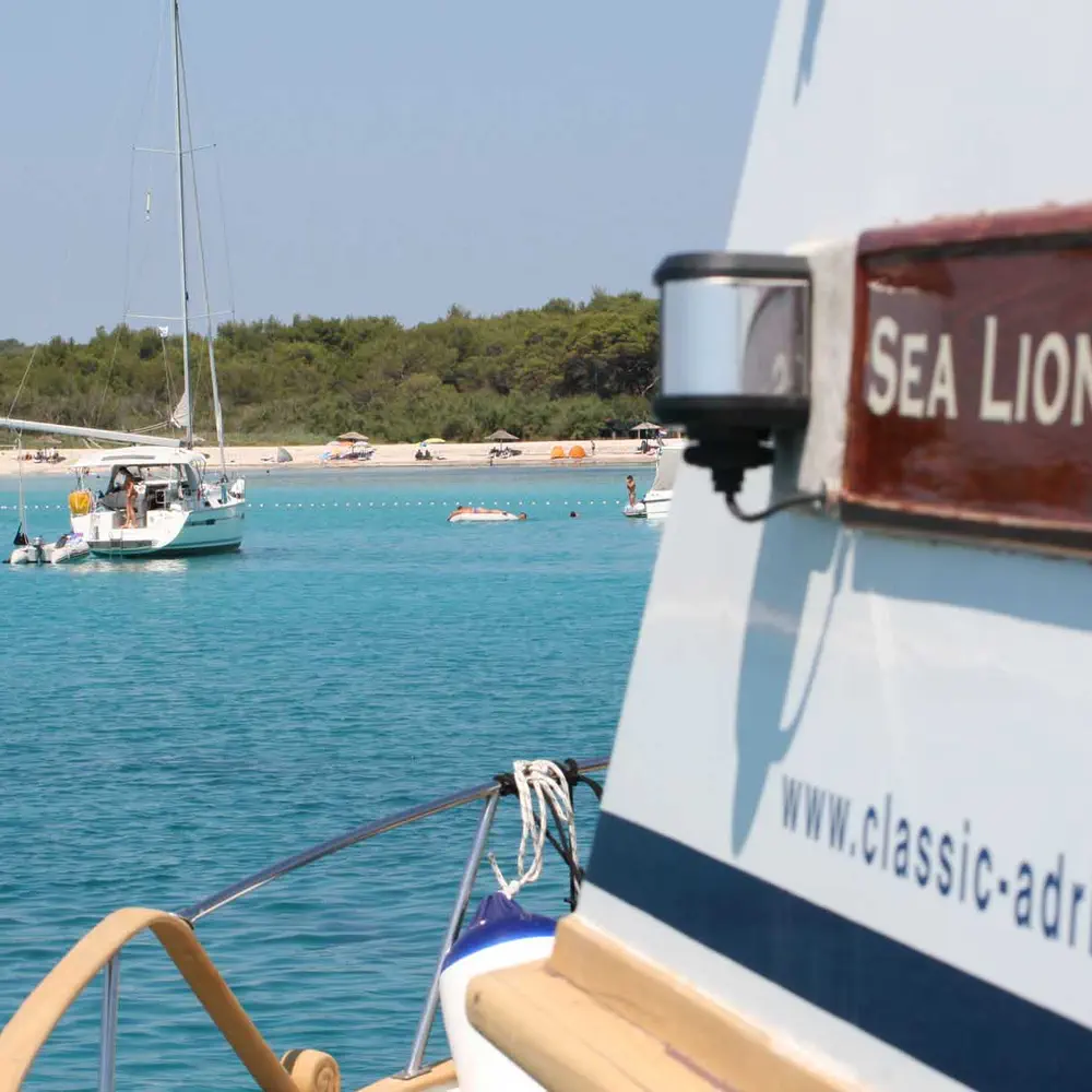 SEA LION 26