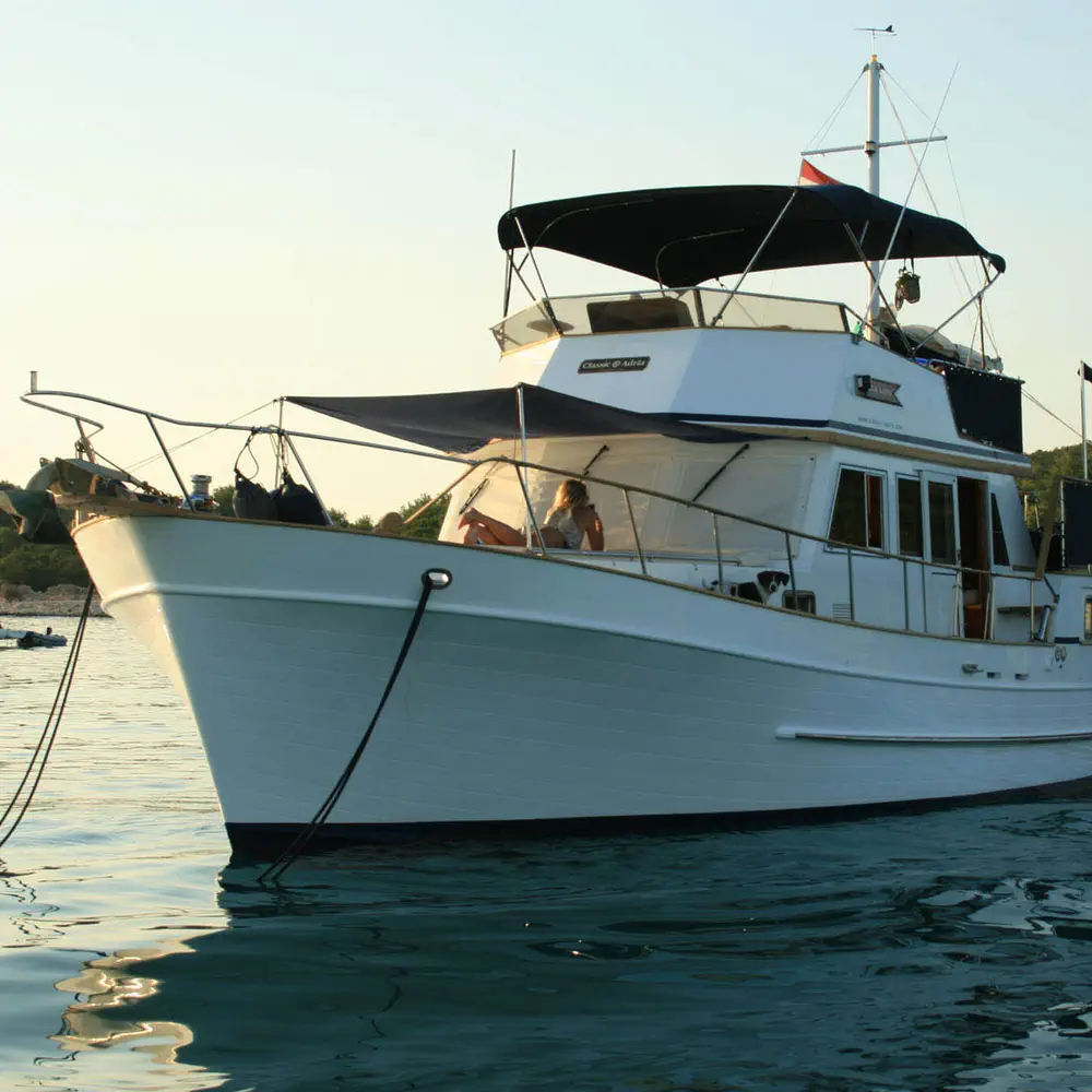 SEA LION 27