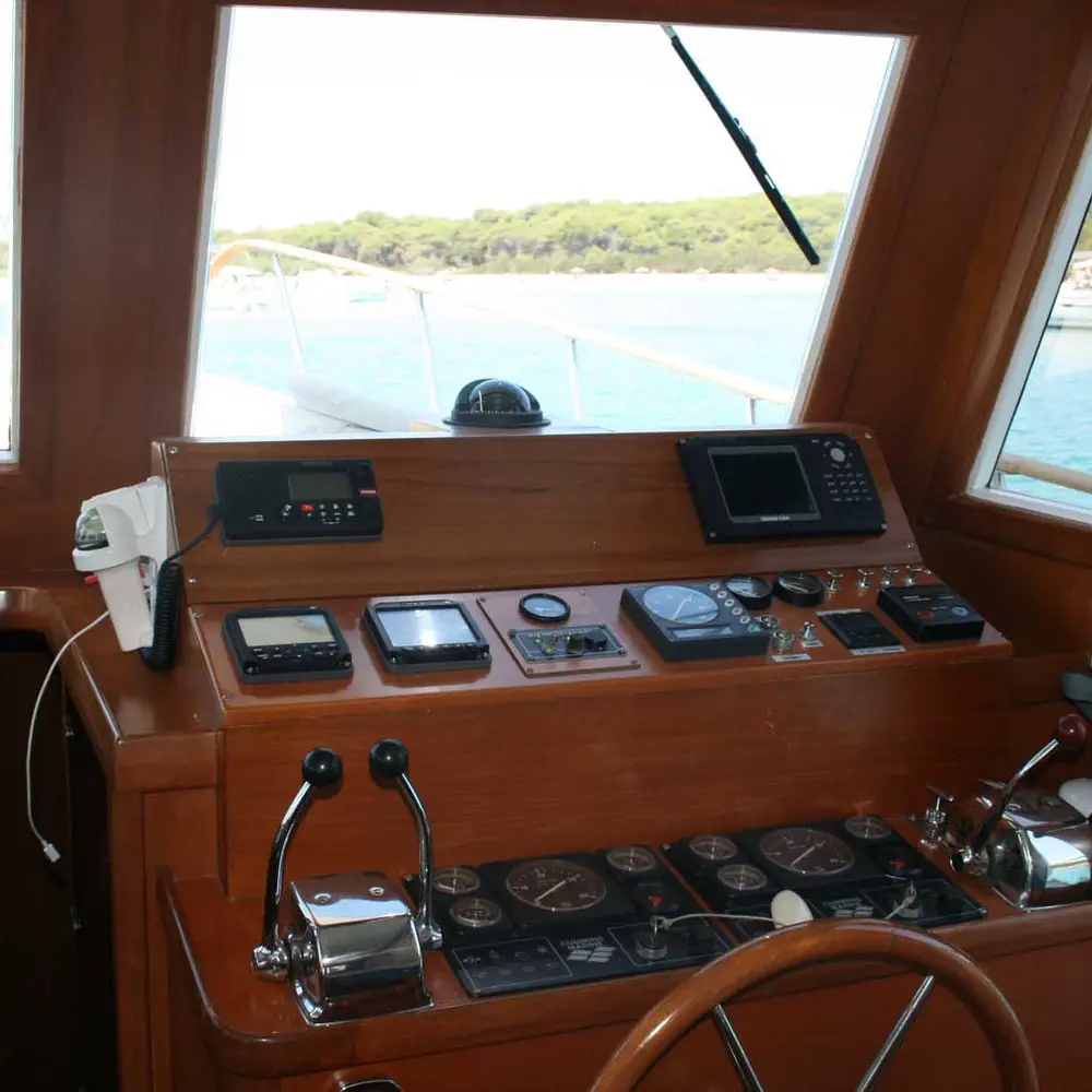 SEA LION 28