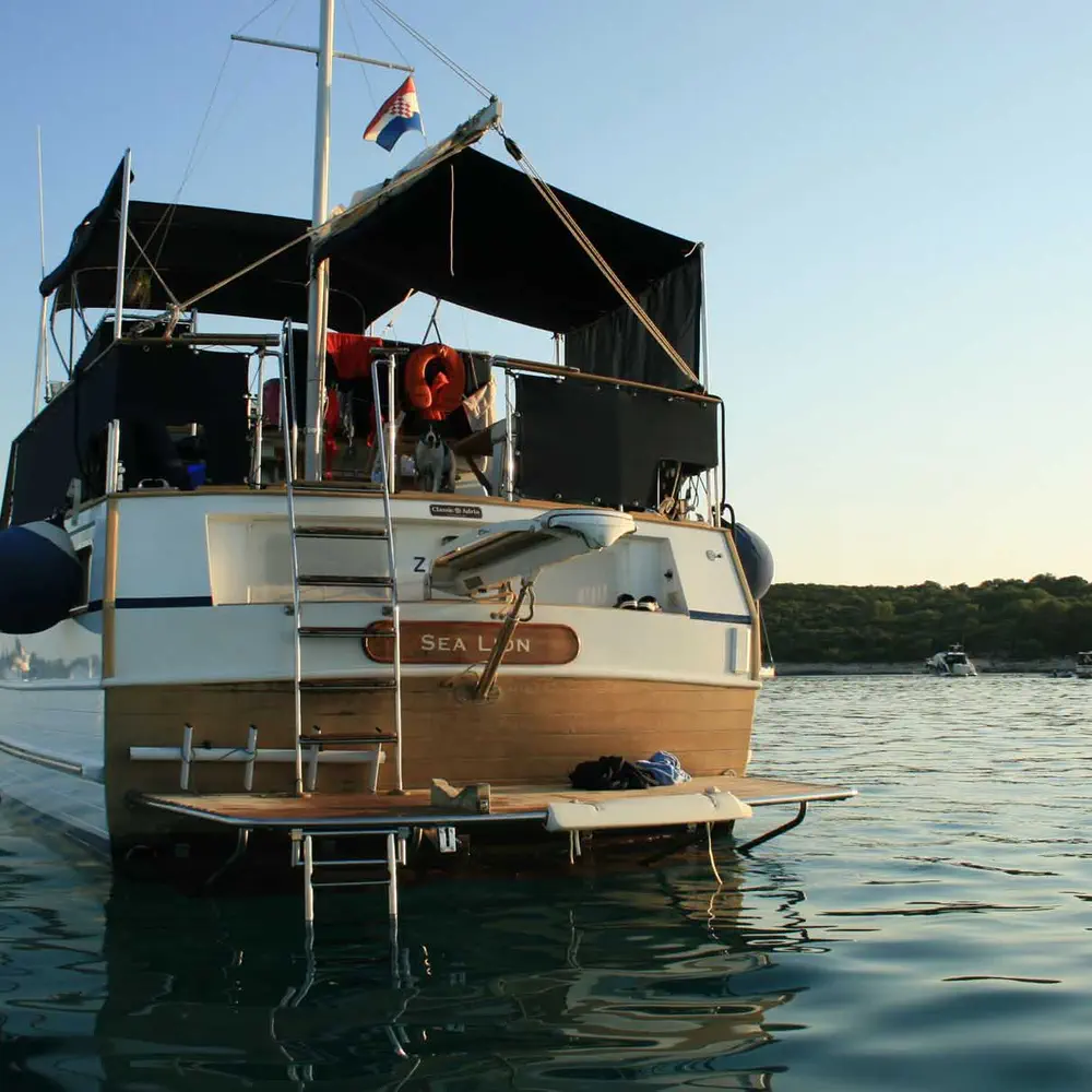 SEA LION 30