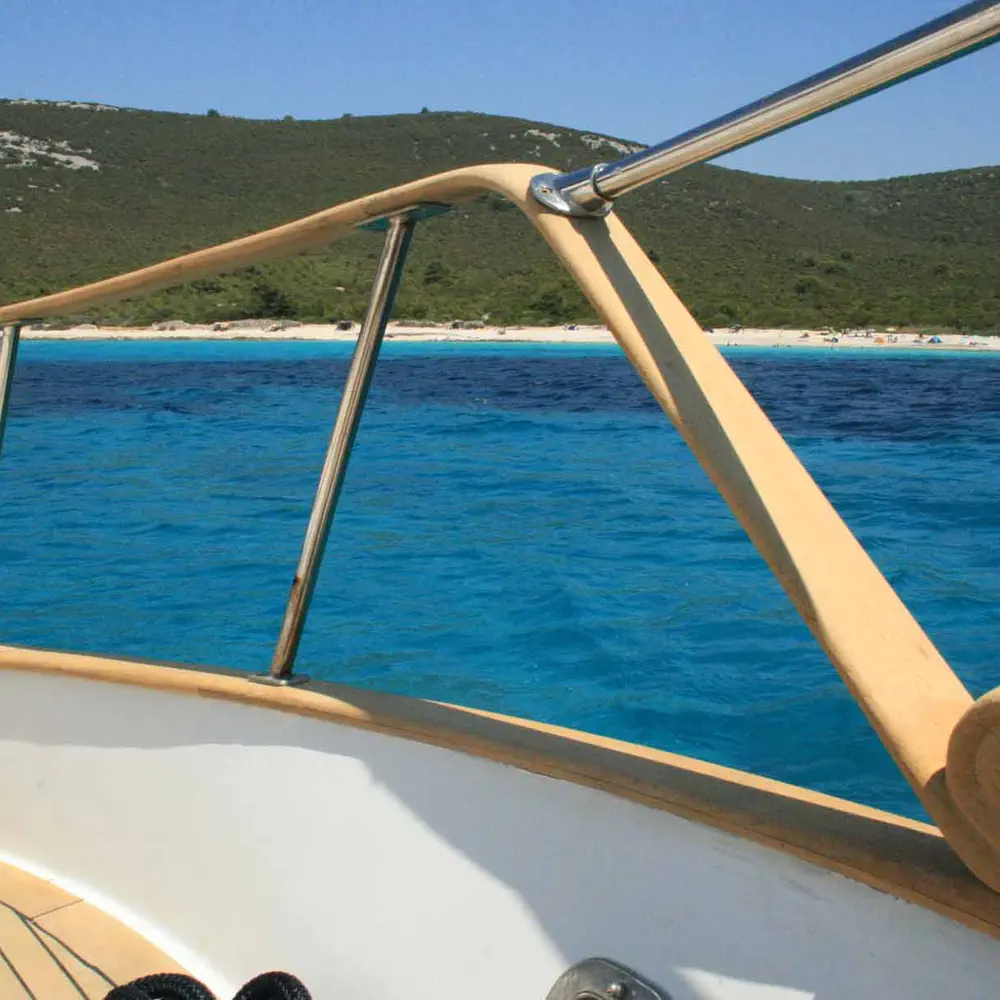SEA LION 31