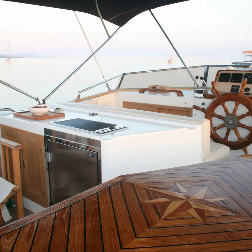 SEA LION 33