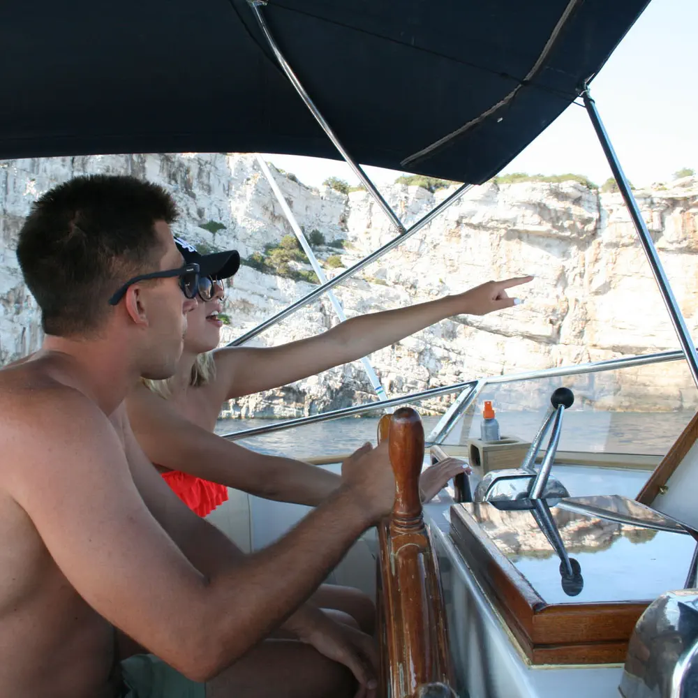 SEA LION 35