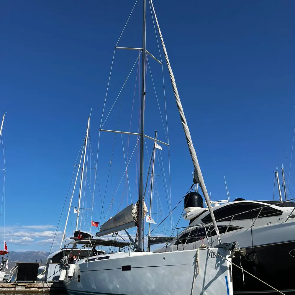 Pina 8