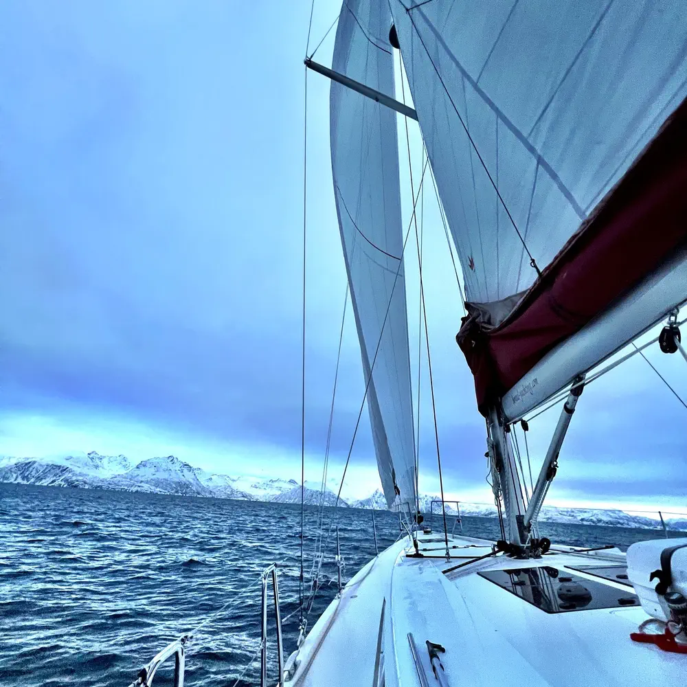Arctic Whisper 8