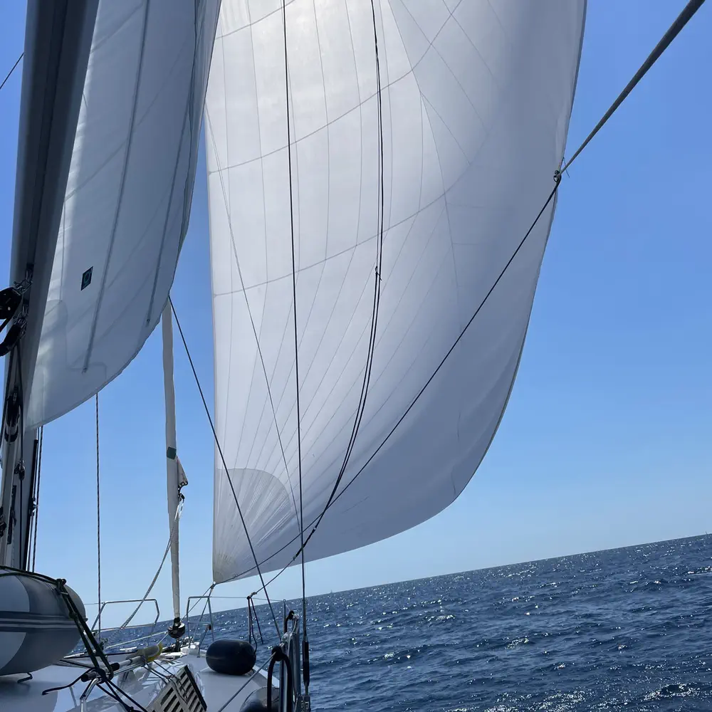freebe 18