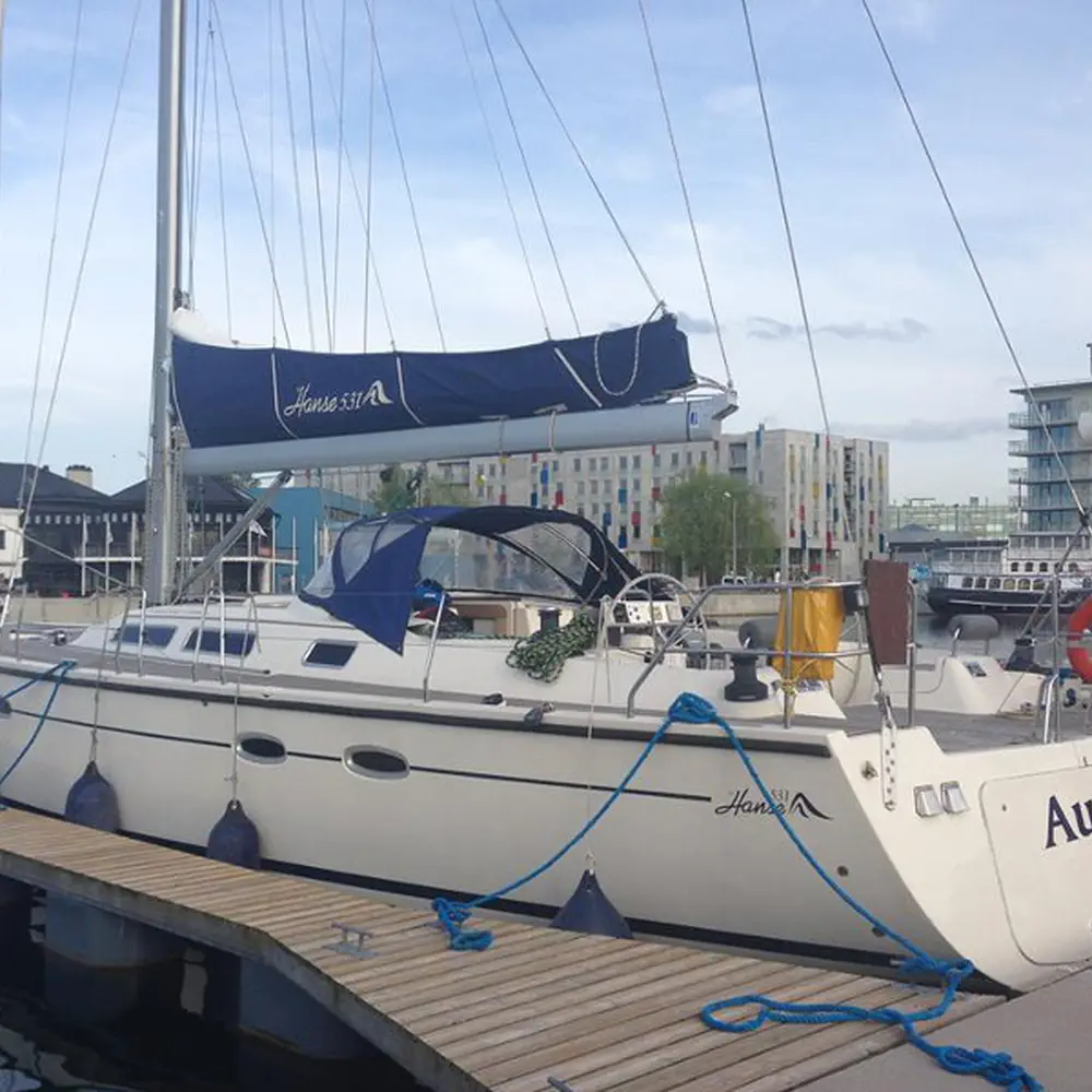 Aurelia 6